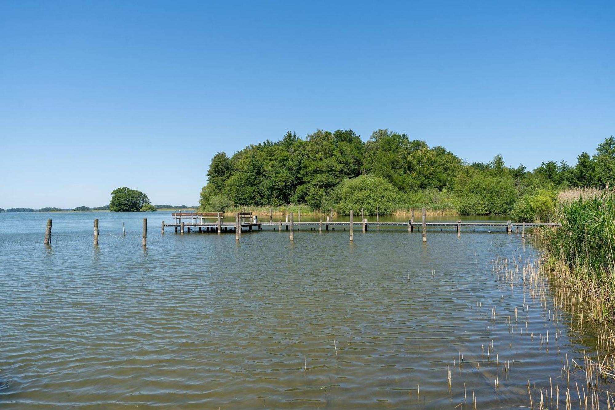 Haus Schwanensee Seeblick Bischofsee Bosau Ngoại thất bức ảnh
